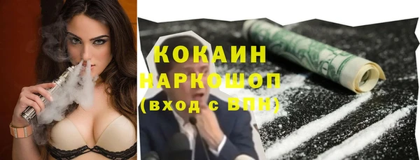 дживик Кинешма
