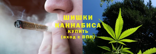 дживик Кинешма