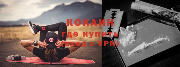 дживик Кинешма
