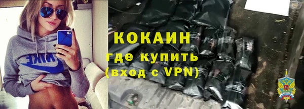 дживик Кинешма