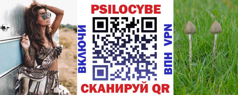 Купить где  Белокуриха  Псилоцибиновые грибы мухоморы 