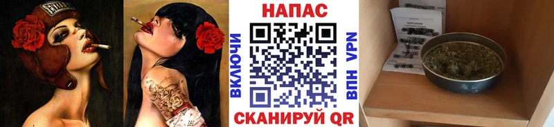 Конопля семена  Купить  Белокуриха 